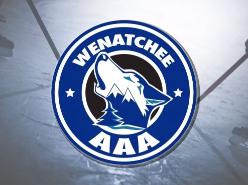 All Four Academy Teams Now On Ice for 2025-26 Season 549599 small