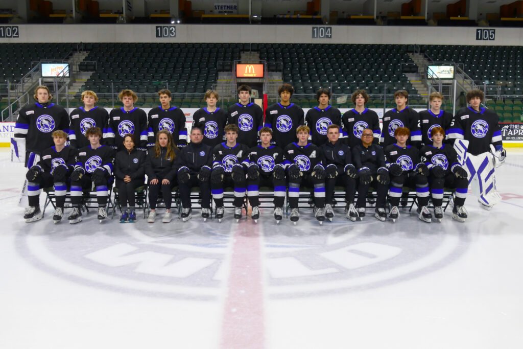 Wild Hockey Academy 16U Program Highlights Season with State Title team photo 16u official